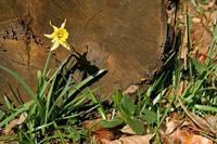 Cjp_2007_03_05_133846 (2).jpg